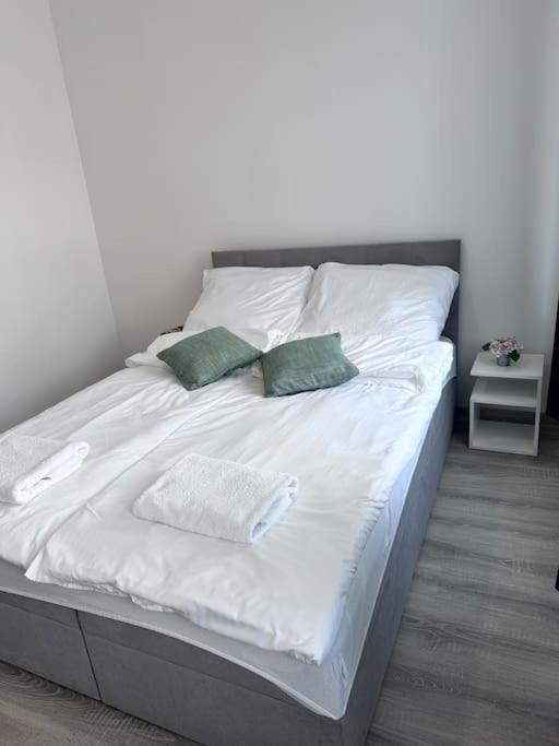 Przytulny Apartament Apartman Szczecinek Kültér fotó